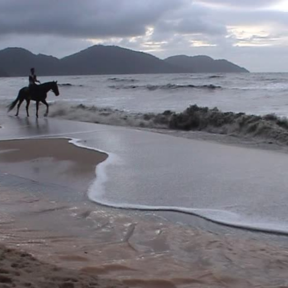 Meet your Posher, Joe - Picture 7 of 8